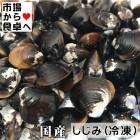 しじみ (冷凍) 1kg【国産蜆】ダシ出ます。みそ汁などでおいしくいただけます【冷凍便】