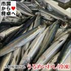 ����ᤤ�路(��)����饦��� 2kg�ھ��ĸ�ī�ɤ��ʤ�¨����ۼ��դ������ơ��Ȥ�ʪ���ݴ����ˡ������ء�