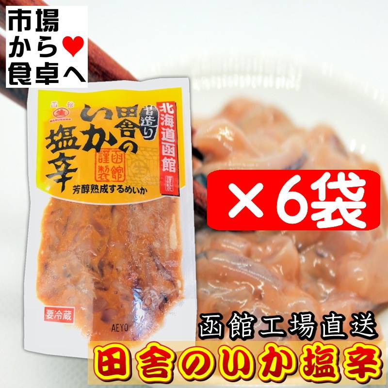 塩辛 田舎のいか塩辛 6袋(1袋120g入り)【新鮮ないかを函館で加工】塩辛
