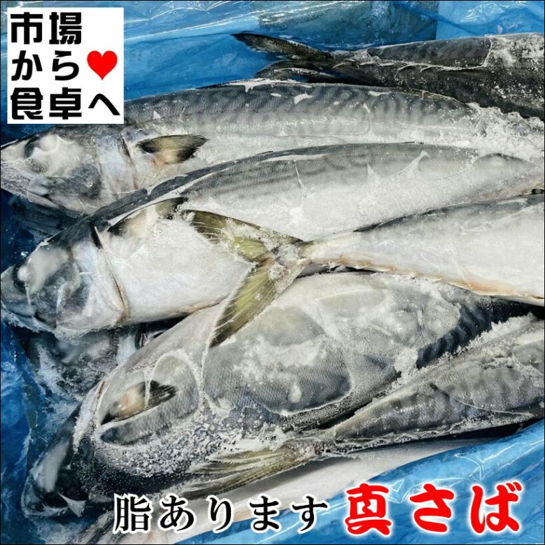 ������ �饦��� ���� ��̳�� 10kg(��16��)�ڻ�Τ���Υ륦�������ۤ�����������λ������ष�ޤ������������ء�