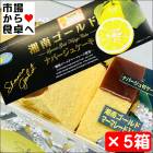 ¾ÅÆî¥´¡¼¥ë¥É¥Ê¥Ñ¡¼¥¸¥å¥±¡¼¥ 5È¢(1È¢10ÀÚÆþ¤ê)¡Ú¾®Åĸ¶¥»¥ì¥¯¥·¥ç¥ó¼õ¾Þ¡Û¤·¤Ã¤È¤ê¥Ê¥Ñ¡¼¥¸¥åÉÕ¤¡Ú¾ï²¹ÊØT¡Û