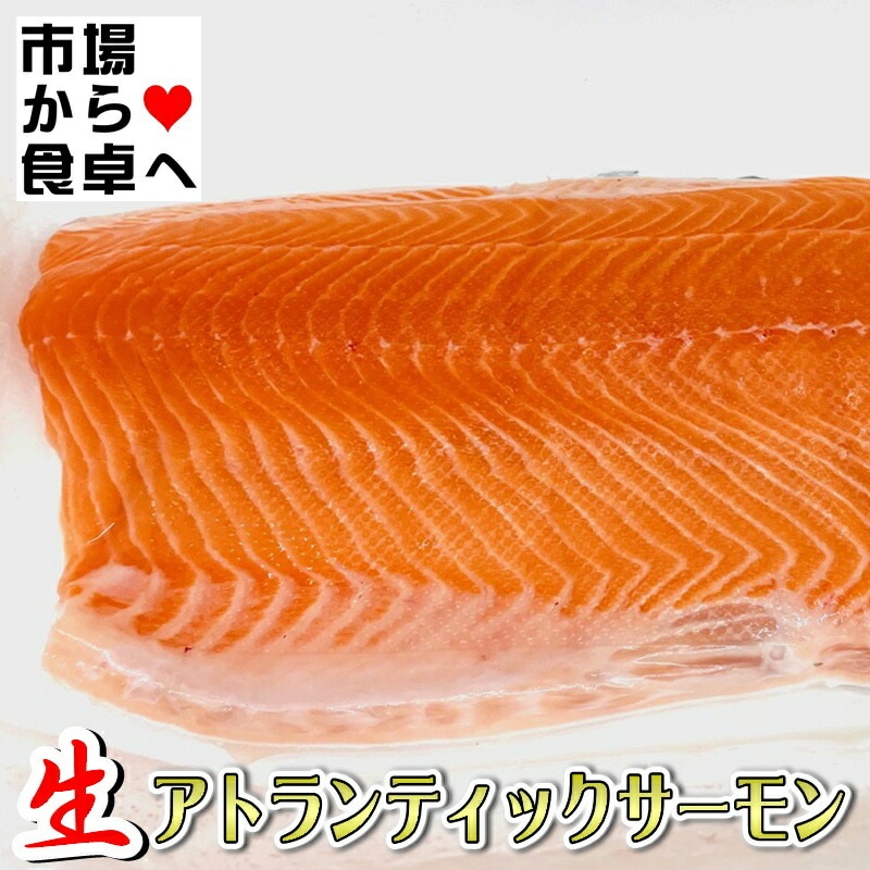 サーモンページ① 000000003003_1_KnRQcyn.jpg