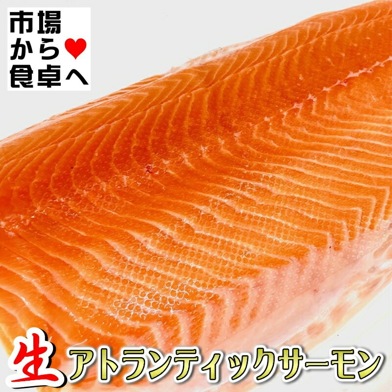 生 アトランティックサーモン 半身2枚 (半身約1.5kg)【業務用・脂