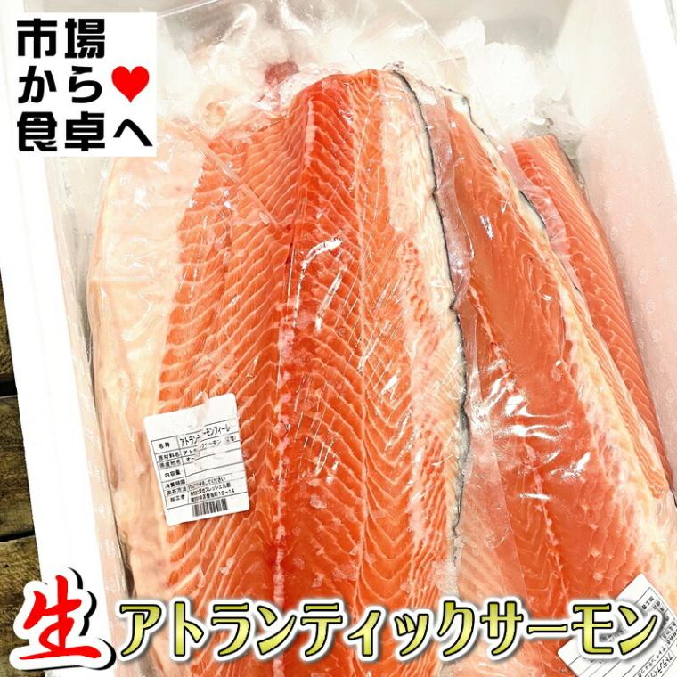 生 アトランティックサーモン 半身2枚 (半身約1.5kg)【業務用・脂