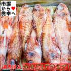 ¤«¤µ¤´ ¥¢¥é¥«¥Ö 5Èø(1ÈøÌó250g)¡Ú¥»¥ß¥É¥ì¥¹¡¦¥¨¥é¡¢¥¦¥í¥³¡¢Æâ¡¼è¤ê¡Û¼ÑÉÕ¤±¡¦±ö¾Æ¤¡¦¤«¤éÍȤ²¤Ë¡ÚÎäÅàÊØ¡Û