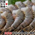 ブラックタイガー海老 大えびsp13/15サイズ 6枚(1枚あたり1.8kg)【鮮度維持ブロック凍結】無頭・殻付き海老【冷凍便】