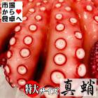 真蛸 たこ(ボイル済み)特大サイズ1杯 (約1.2kg)【 生食用・刺身・カルパッチョ・サラダ・おでん 】色々な料理にお使いいただけます【冷凍便】