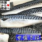 さば干物 10枚(1枚約130g)【 脂ののりの良いノルウェー産使用 】 甘塩サバの干物、塩加減も絶妙でご飯が進みます 【冷凍便】