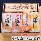 かまぼこギフト 誉(ほまれ)G-6(極上)【創業明治十一年・小田原山上蒲鉾】特上蒲 紅白各1本・黄味巻1本・チーズ蒲鉾1本・椎茸蒲鉾1本【冷蔵便】