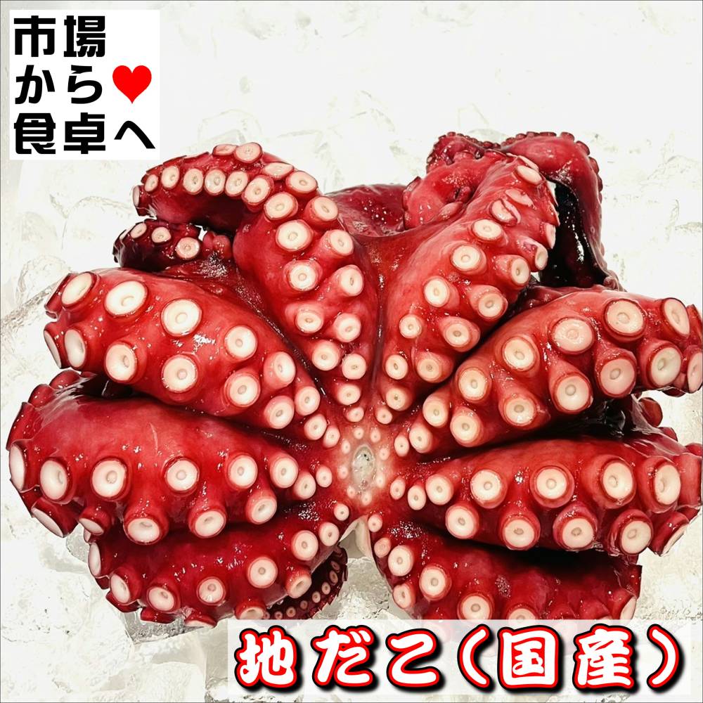 ���� (�񻺡�����) 1����1.2kg�ڥܥ����Ϥ������緿�ι񻺤��������ٱ����Τ��륵�����������ء�