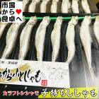 �һ���������� (����եȥ������)5�ѥå�(1�ѥå�8������)�ڶ�̳�� �������۾Ƥ�����������Τ����ˡ���¢�ء�