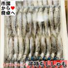 �һ���������� (����եȥ������)��80���ڶ�̳�� ��������ͼ�Ӥˤ⤥���ʡ���ñ���������������ء�