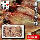 真あじ干物 チルド中小15枚 (1枚当たり約80g) 【小田原前田商店のひもの】 小田原加工、脂あります 【冷蔵便】