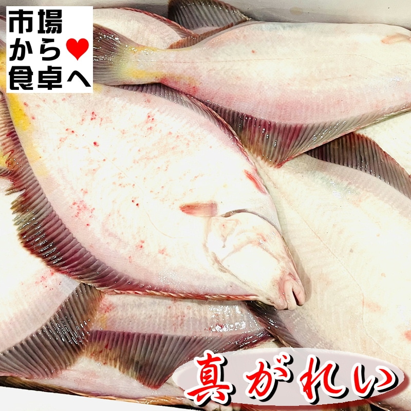 �����줤 1kg�����५�쥤��̤Ĵ�����饦��ɡ۾Ƥ��������ա������Ȥ��ˡ������ء�