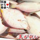 真がれい 1kg【冷凍カレイ・未調理・ラウンド】焼き魚、煮付、から揚げに【冷凍便】