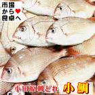 小鯛 チダイ(冷凍)1kg【相模湾小田原産】獲れたてを急速冷凍、笹漬け、酢の物、丸干しに【冷凍便】