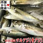 ����(�ݥ������ĥ���)2kg��̵���̡�����������Ѿ��ĸ��ͤ줿���������®����������ء�