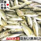 ������ Ʀ����(����)1kg��̵���̡������Ѿ��ĸ����۳ͤ줿�Ƥ��®���ࡢ�����Ȥ��������Ҥ����ݤ�ʪ�ˡ������ء�