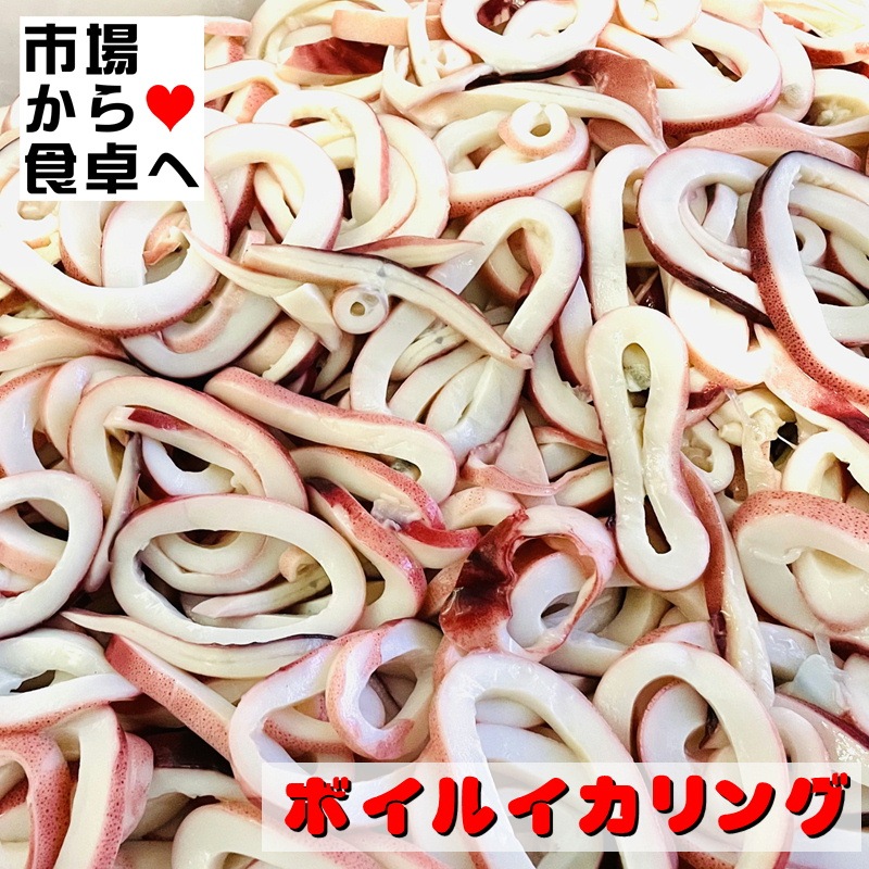 ܥ륤 3kg ڥɶ̳Ѥ󥰡ۥȥåԥ󥰡֤ʪȤʪˡ¢ء
