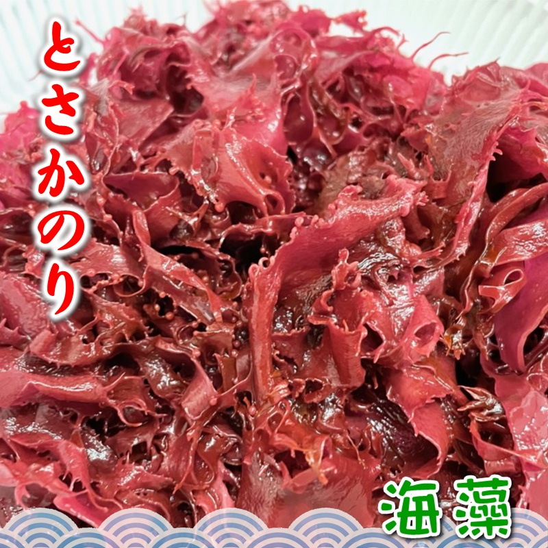 �֤Ȥ����Τ� 2������(1��500g����)�����ܶ�̳�� ���⻺ŷ���������忧���Ի��� ���ɿȤΤĤޡ��������դ���碌�ˡڥݥ����ء�