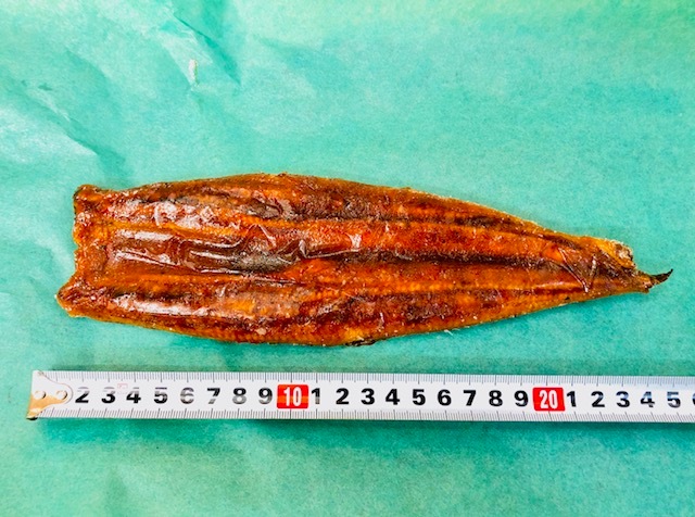 ���ʤ� Ĺ�Ƥ�����񻺡� ���Ƥ� �� 5��� 20�����ꡦ������250������ �� �����̡���̳�� �������ء�