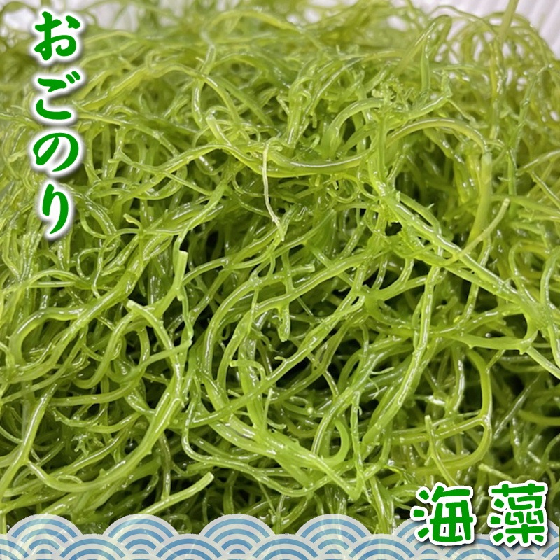 Τ 2(1500g) (ͥ祦) ڤĤޤ  ù  ŷ ۻɿȤΤĤޡդ碌ݤʪˡڥݥK