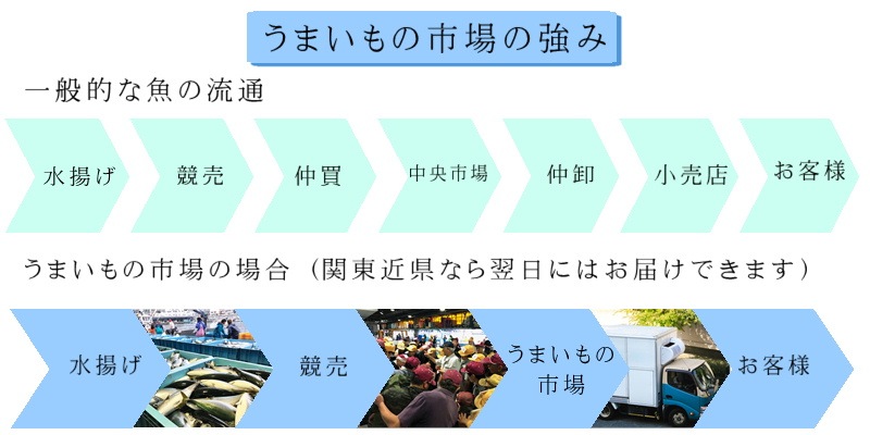 ���� �褭���� 2��(1����1.5kg) �ɿ��ѡ������� �� ���ĸ������¨��ȯ�� ���ޤ���λԾ� �衺���꡼�� �� ���ٽŻ롢��̣���㤤�ޤ� ����¢�ء�