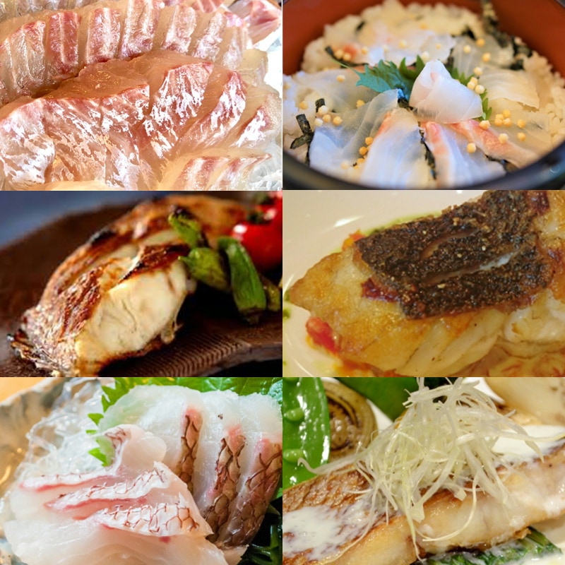 ���� �褭���� 2��(1����1.5kg) �ɿ��ѡ������� �� ���ĸ������¨��ȯ�� ���ޤ���λԾ� �衺���꡼�� �� ���ٽŻ롢��̣���㤤�ޤ� ����¢�ء�