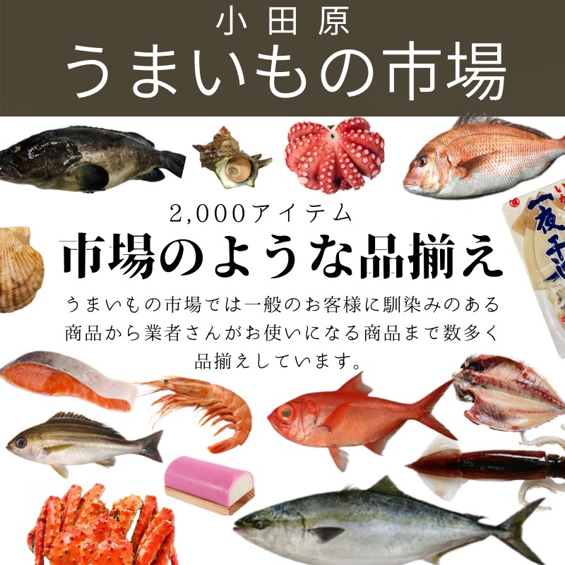 しらすせんべい 10袋(1袋70g入り)【湘南名産】栄養豊富なしらすをたっぷりと生地に練りこんだ、サクサクした食感が自慢のおせんべい 【常温便】