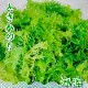  Ȥ Τ 20500g20˶̳ѡ̳ܶ ⻺ŷ忧Ի ɿȤΤĤޡդ碌