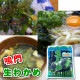 �� �狼�� ���绺 2�� (1��250g����) �� ��¢�������� �� ���Ҥ�������������ݤ�ʪ��̣�����ˡڥݥ����ء�
