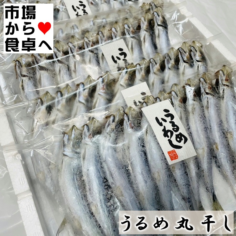 ᤤ路ݴ 8(110Ϣ)ڤۤ줵ʤۼκ衦ĤޤߤդäƤ夬꤯ء