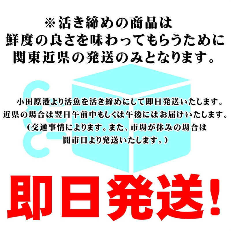 ����Ѥ� �褭���� ��4kg���� �ɿ��ѡ������ѡھ��ĸ������¨��ȯ��/���ޤ���λԾ졦�衺���꡼�������ٽŻ롢��̣���㤤�ޤ�����¢�ء�