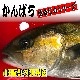 ����Ѥ� �褭���� ��4kg���� �ɿ��ѡ������ѡھ��ĸ������¨��ȯ��/���ޤ���λԾ졦�衺���꡼�������ٽŻ롢��̣���㤤�ޤ�����¢�ء�