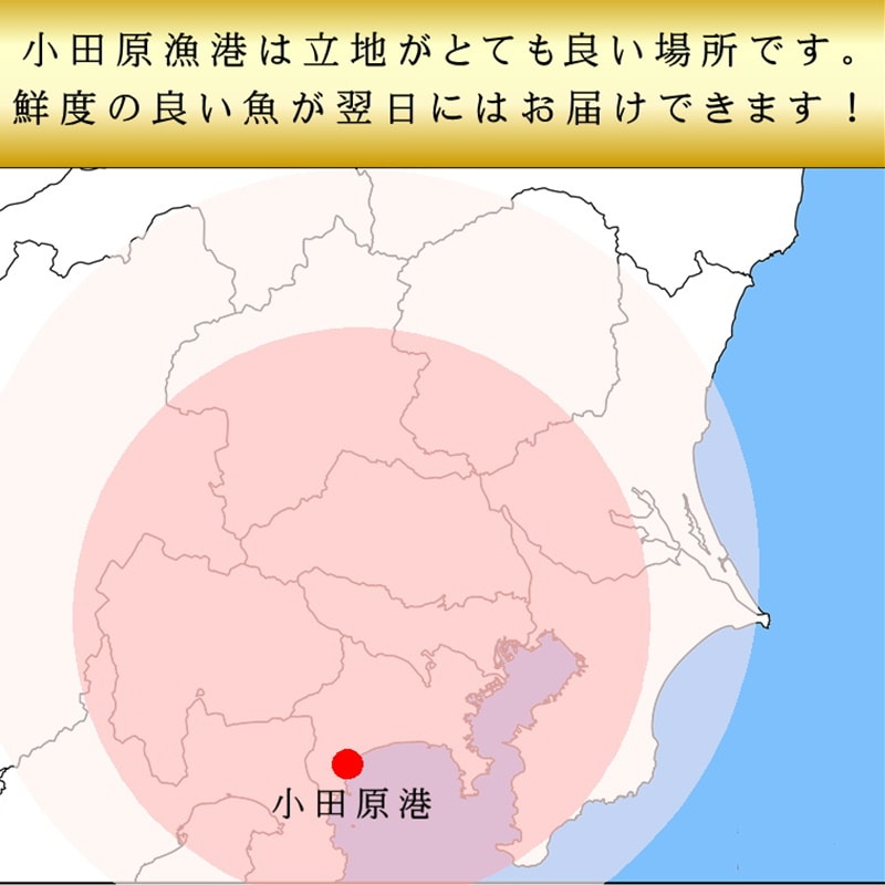 ���� �褭���� ��1.5kg �ɿ��ѡ������� �� ���ĸ��� ��� ¨��ȯ�� ���ޤ���λԾ� �衺���꡼�� �� ���ٽŻ롢��̣���㤤�ޤ� ����¢�ء�