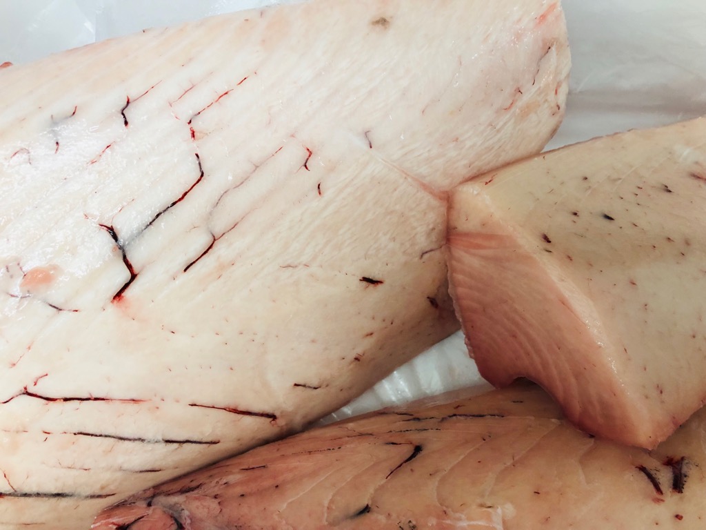 Ӥ礦 ޤ ̳ѡ10kg쥹ڡɿȡʡѥå硡ۡӤĹ ء