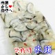 ɹƬ ʤޤ 3(1350g) ̳ѡڤ̤ۺƬҤˤ̣ʤҤʤޤ˴̡λϷ礫ޤء