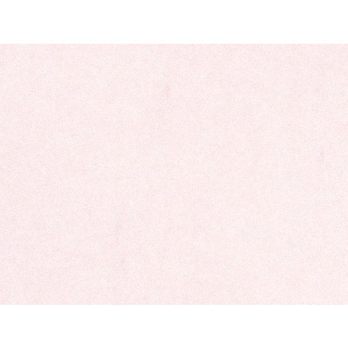 【特注品】LOHAS Material EM珪藻土フラット EF-34 珊瑚（さんご） （10kg）※特注取り寄せ品のため、お届けまでにお時間がかかります ※代引き・キャンセル・日時指定不可