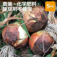 【大阪府箕面産】　農薬・化学肥料・除草剤不使用　玉ねぎ5㎏ ※送料無料（一部地域を除く）【健康サポート専門店農園】