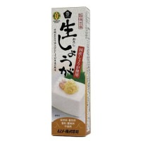 【お買上特典】旨味本来・生おろししょうがチューブ （40g）【ムソー】|調味料|自然食品・厳選食品