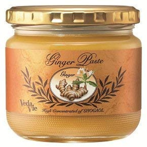 ヴェーダヴィ ジンジャーペースト 336g 【フィディカ】