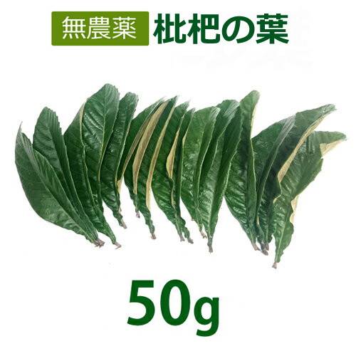 無農薬 枇杷の葉（びわの葉） （50g） 【長崎県産】 真空包装 ※メール便送料無料（部地域を除く）