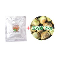 ベジタリアンミートハンバーグ 140g + 玉ねぎ 2kg(今なら小さい玉ねぎ500gプレゼント中)※送料無料(一部地域を除く)【健康サポート農園】