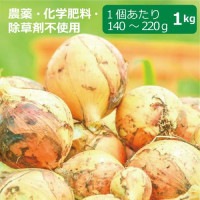 農薬・化学肥料・除草剤不使用　玉ねぎ 1kg ※玉ねぎのサイズは1個当たり140g〜220g【健康サポート農園】|無農薬・有機栽培食材