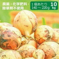 農薬・化学肥料・除草剤不使用　玉ねぎ 10kg ※玉ねぎのサイズは1個当たり140g〜220g ※送料無料（一部地域を除く）【健康サポート農園】|無農薬・有機栽培食材