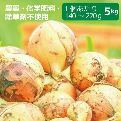農薬・化学肥料・除草剤不使用　玉ねぎ 5kg ※玉ねぎのサイズは1個当たり140g～220g【健康サポート農園】※送料無料（一部地域を除く）