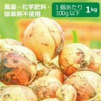 農薬・化学肥料・除草剤不使用　玉ねぎ 1kg ※玉ねぎのサイズは目安1個当たり5.5cm以下・100g以下混合【健康サポート農園】|無農薬・有機栽培食材