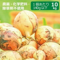 農薬・化学肥料・除草剤不使用 玉ねぎ 10kg ※玉ねぎのサイズは1個当たり140g以下 ※送料無料（一部地域を除く）【健康サポート農園】|産直新鮮野菜|無農薬・有機栽培食材
