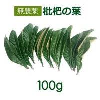 無農薬 枇杷の葉（びわの葉） （100g） 【長崎県産】真空包装 ゆうパケット送料無料（一部地域を除く）|枇杷（びわ・ビワ）の生葉|枇杷を使った商品・手当て用品