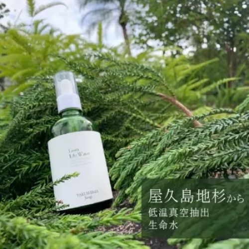 ライフウォーター屋久島地杉 （100ml） 【正規販売代理店】 【ヒーリング】※メーカー直送のため代引・同梱・キャンセル不可 